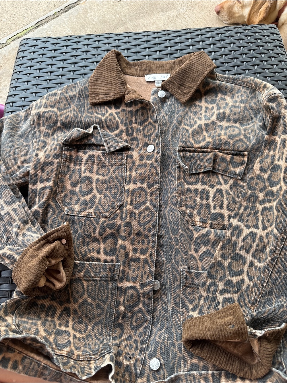 She + Sky Brown Leopard Print Jacket size small with Corduroy Collar and sleeves